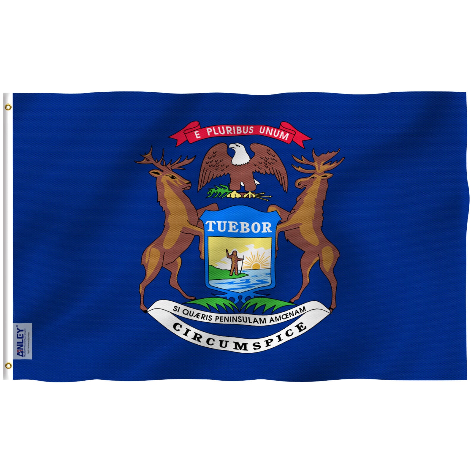 Michigan State Flag